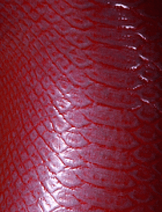 Struktur Latex Snake Silver on Red
